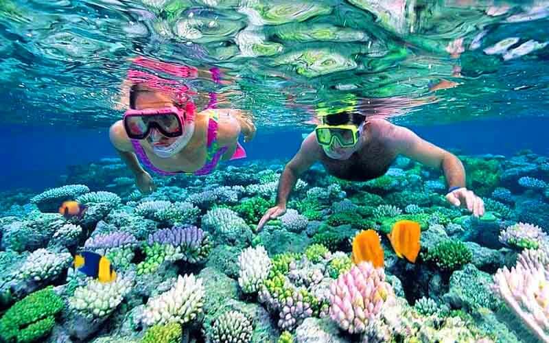 Cham island tour 1 day depart from Hue - Elephant Travel