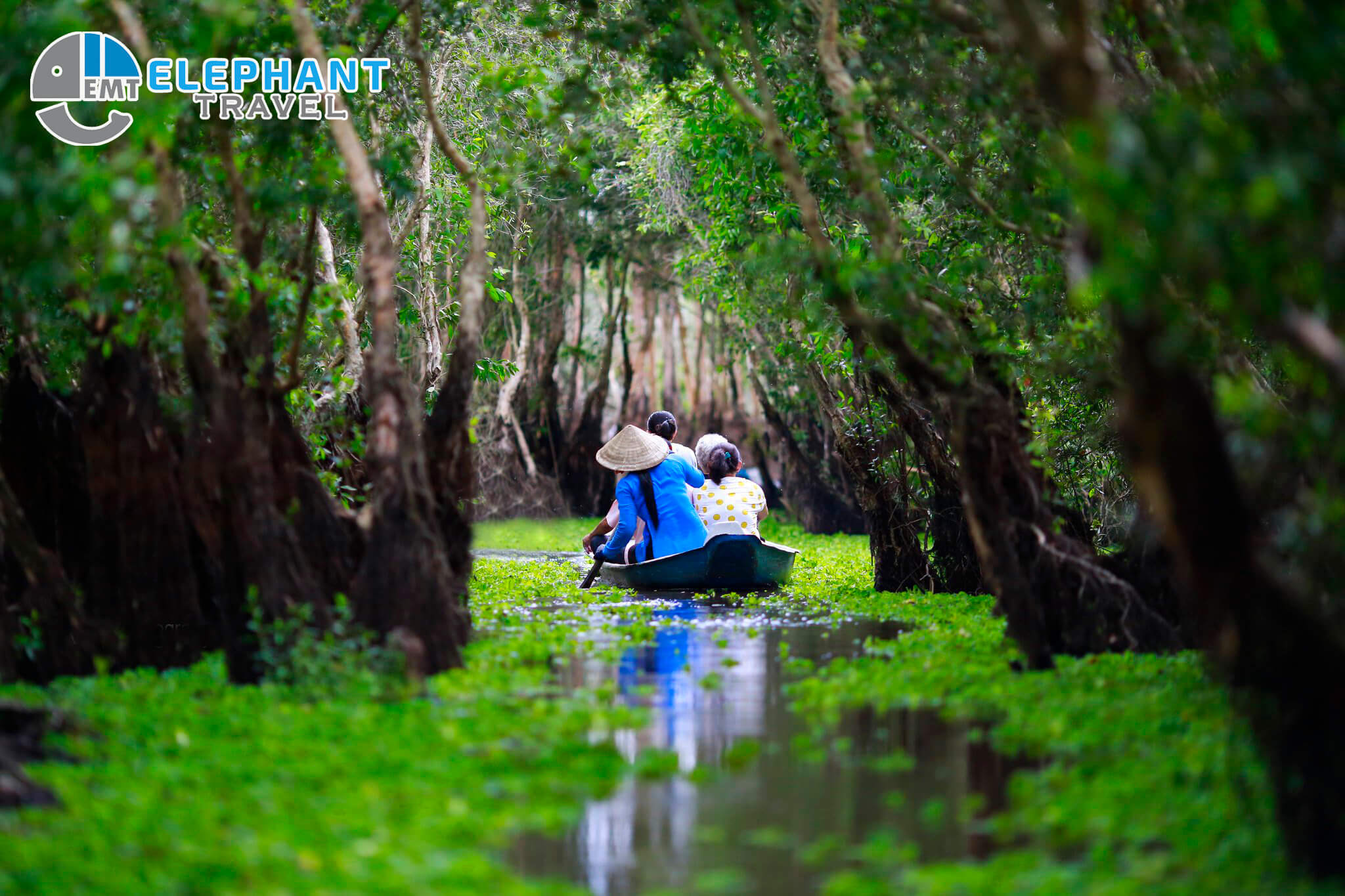 Vietnam package tour 16 days 15 nights from the North - Elephant Travel